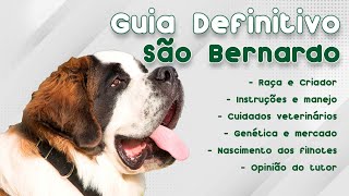 GUIA DE RAÇAS COMPLETO SOBRE O SÃO BERNARDO! | CANAL MAIS PET