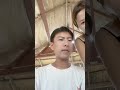 In the village turns yellow and smokes