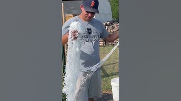 Wait for it🤣 New Video is Live..watch to see if the Trellis Netting took Jered DOWN! #garden