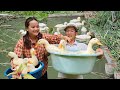 How A Single Mom Cleans The House And Takes Care Of The Ducks How A Single Mom Cleans The House And Takes Care Of The Ducks