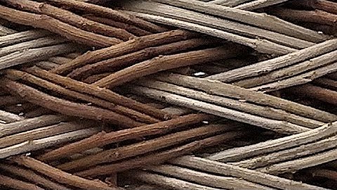 Special Willow Weaving Techniques: The Two-Way Weave