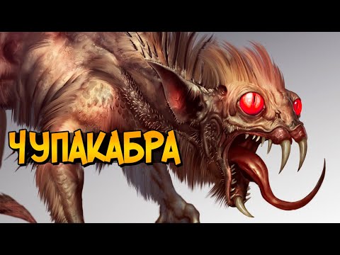 Video: Chupacabra Har Verksamhet I Moskva-regionen - Alternativ Vy