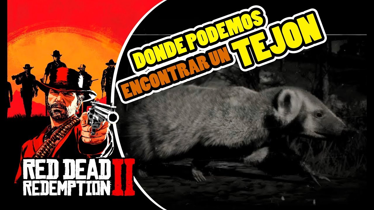 Tejon Rdr2 * Donde cazar TEJÓN * LOCALIZACIÓN EN RED DEAD REDEMPTION 2 | RDR2 ...