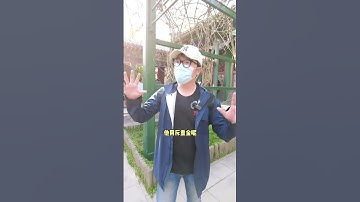 香妃為何會在和珅家跳舞？真相令人意外！💃🏯#中國旅遊 #歷史故事 #名勝古蹟 #中國文化 #長城 #故宮 #中國歷史 #文化遺產 #中國景點 #旅行探索 #中國古建築 #中國歷史文化 #文化旅行