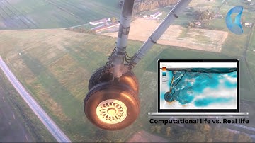 Real Life vs Computational Life