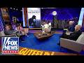 'Gutfeld!': Overrated OR underrated?
