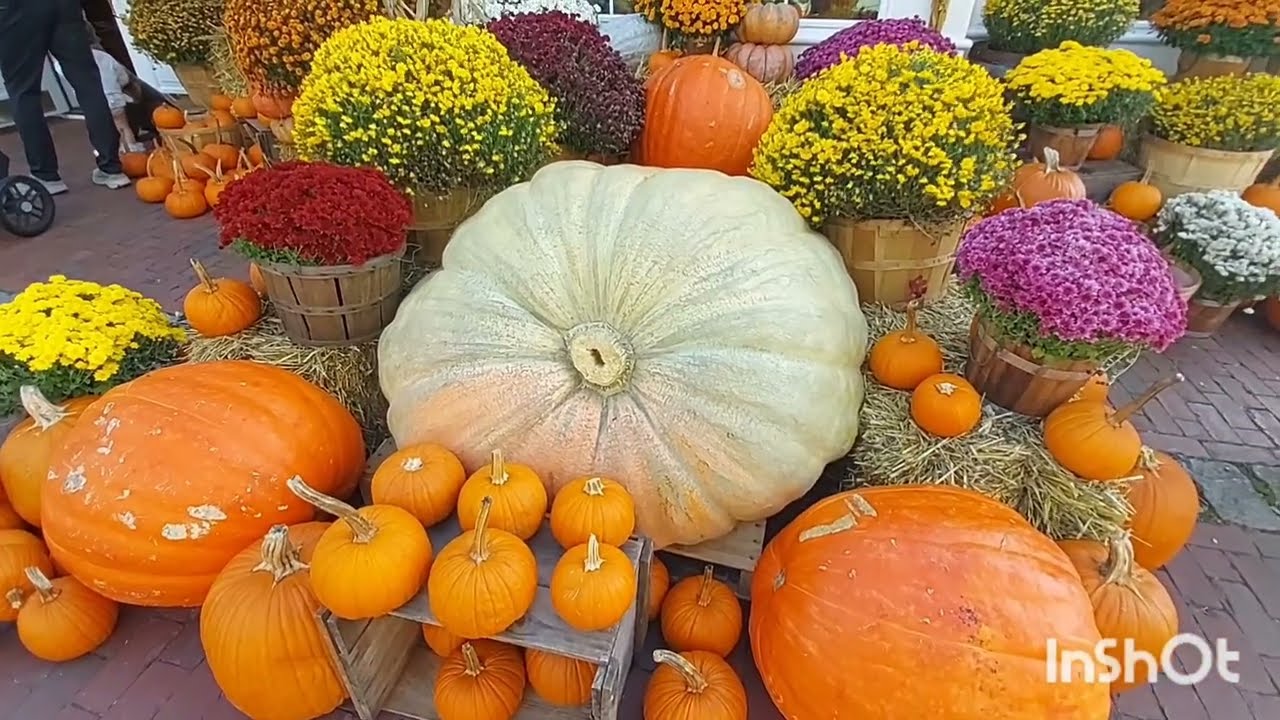 Beautiful Fall decor in Vermont 