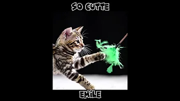 EMILE Shorts Fyp Viral Catshorts Cutecats Aicats Kittenlove Aiandcats Funny Cats 