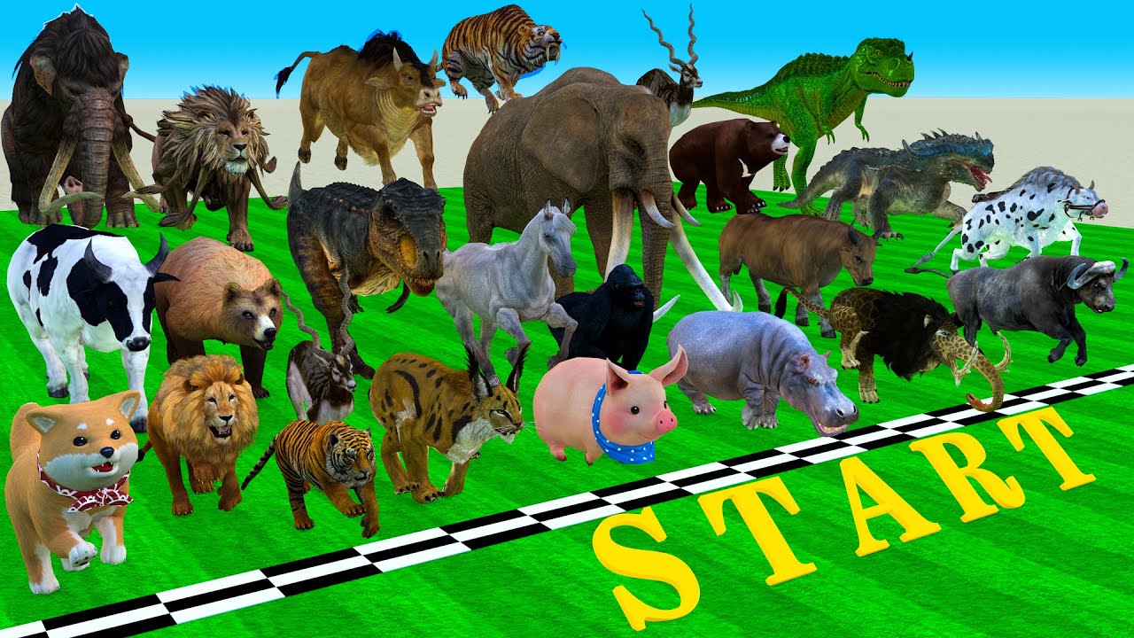 Incredible Animals Race vs Dinosaurs vs Prehistoric Mammals Speed Race Run: Who Will Win? ARBS #1