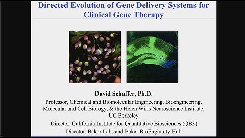 Directed Evolution of Novel AAV Vectors for Clinical Gene Therapy