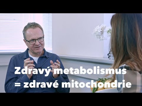 Video: Čo Sú Mitochondrie