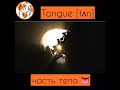 LANGUAGE vs TONGUE. Как сказать Язык по-английски?