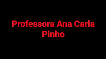 Como são aplicados os princípios gerais de direito no D internacional?