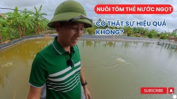 Nuôi Tôm Thẻ Nước Ngọt Có Hiệu Quả Không? | Ưu Nhược Điểm & Kỹ Thuật Cần Biết