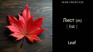 Nature vocabulary in Russian - Part 2.