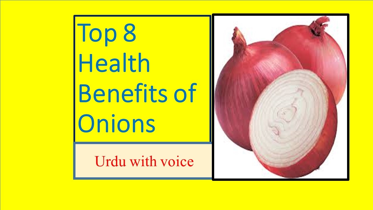 Top 8 Health Benifits of onion sexual benifits of onion Urdu/Hindi