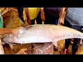 21 kg giant seer fish cutting in bangladesh fish market  fish cutting