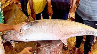21 Kg Giant Seer Fish Cutting In Bangladesh Fish Market | Fish Cutting Video