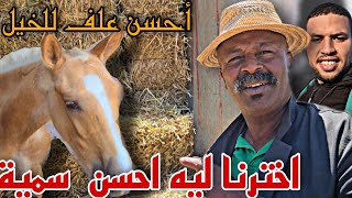 اجي نشوفو أحسن علف للخيل 💯 وأخيرا اخترنا إسم لجدع جديد ديال عمر من تعاليق الجمهور