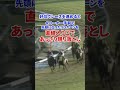 衝撃のラストランが今なおファンの伝説となっている漆黒の帝王　#shorts #競馬 #シンボリクリスエス