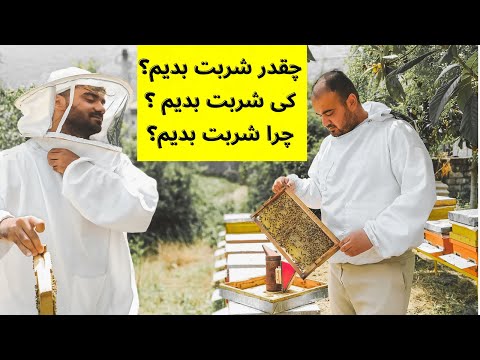 تصویری: جلوگیری زنبور عسل را کجا گزارش دهیم؟