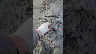 СНТ Победа абиссинская скважина со второй попытки #абиссинка39 #Калининград89114904551 #стройка