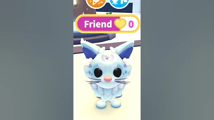 Video 11869471: maine coon, adoptable pet