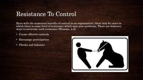 Controlling In Organizations