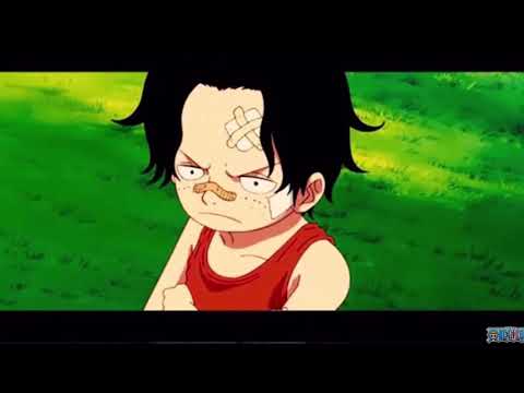 天ノ弱✖️ワンピース(エース)