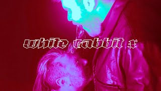 Heartstomper - White Rabbit X