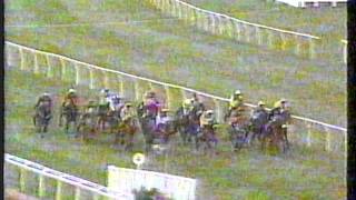 1992 - Cheltenham - Stayers' Hurdle - Nomadic Way
