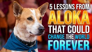 5 Lessons from Aloka That Could Change the World Forever
