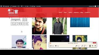 Wordpress website demo Sydney theme