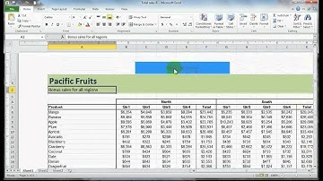 Excel 2010 Beginner: Unit 6 Lesson B - Page Setup