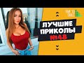 Смех до слез | Лучшие приколы 2020 АВГУСТ | Best Coub 2020 №48