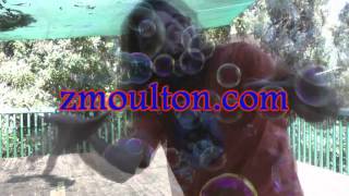 zmoulton.com