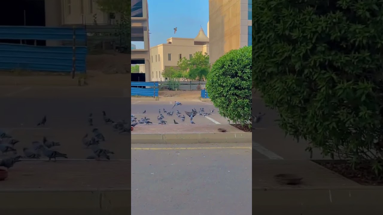 Ya tmana hai ka azade tmana hee rah on