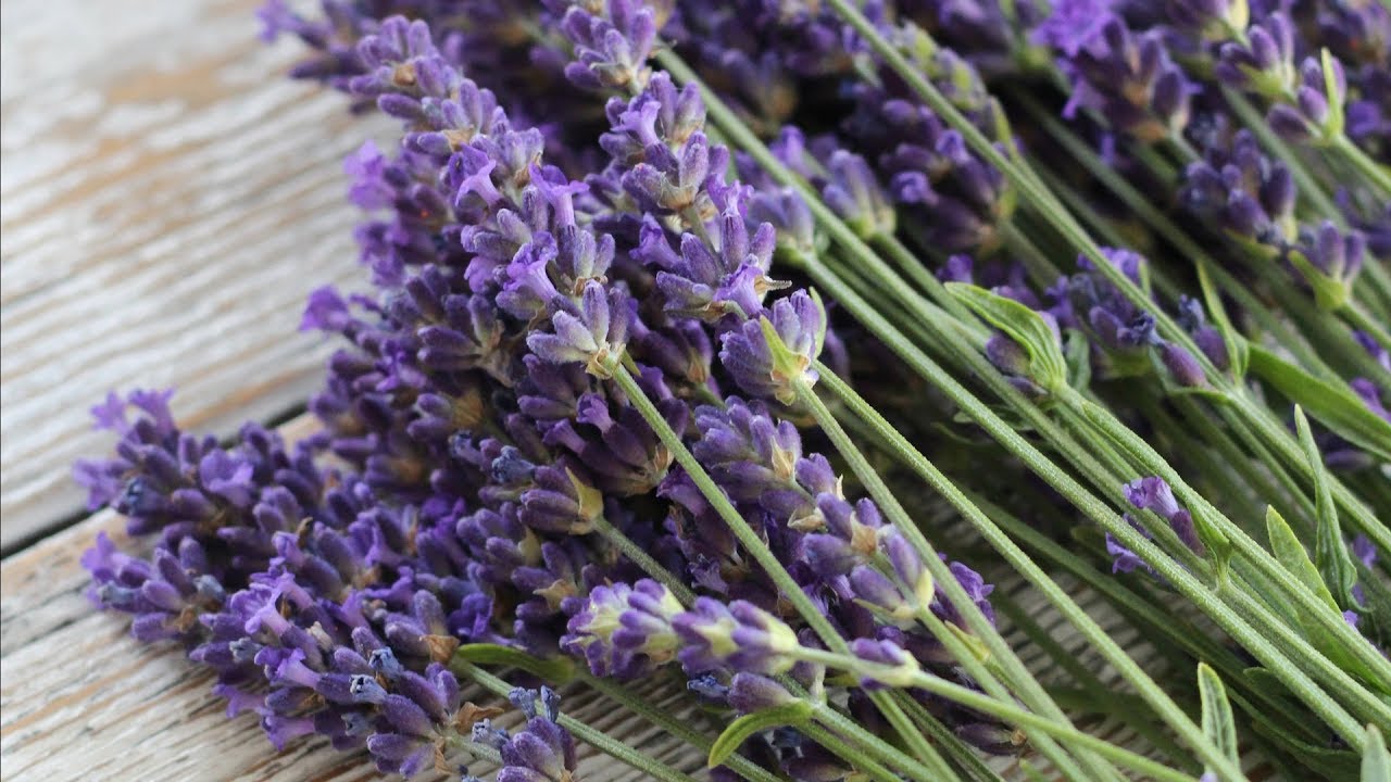 English Lavender Recipes, Ideas and Tips YouTube