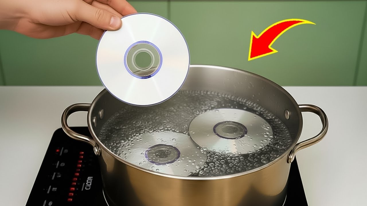 Boil CDs and make money😱! Millions of people don't know this secret ...