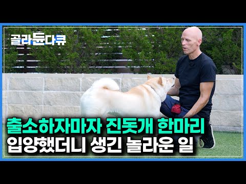 “이 한국개는 저의 모든 걸 바꿔놓았어요”|현존하는 모든 견종을 전부 훈련시켰다는 훈련사가 진돗개를 입양한 후 놀란 이유|다큐프라임|#골라듄다큐