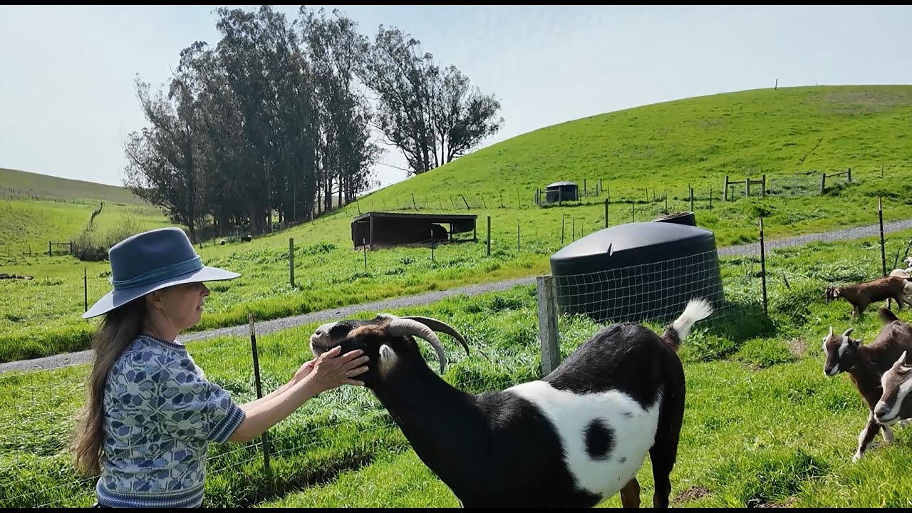 When Trailers Fail: Why Some Farms Turn to Tiny Homes