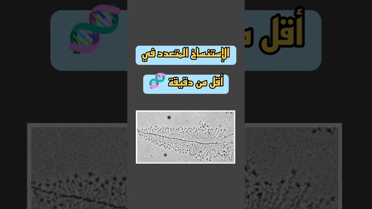 الإستنساخ المتعدد 🧬 .