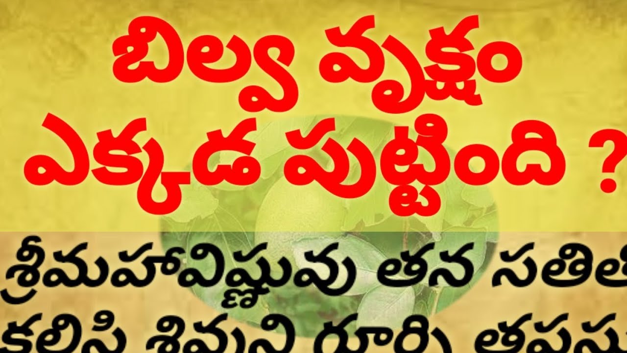 బిల్వ వృక్షం ఎక్కడ పుట్టింది ?| Dhrma sadehalu|Devotional Quotes|Thalapathanidi|Telugu quotes