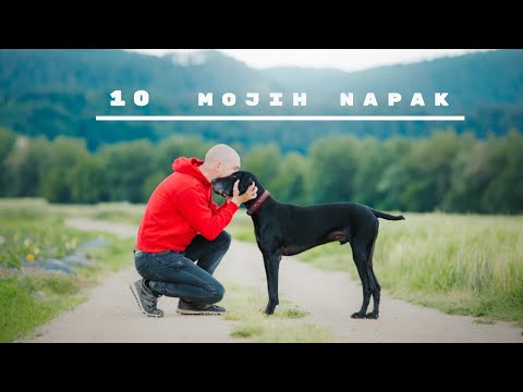 Video: Sprejemljivi psi dneva - Max