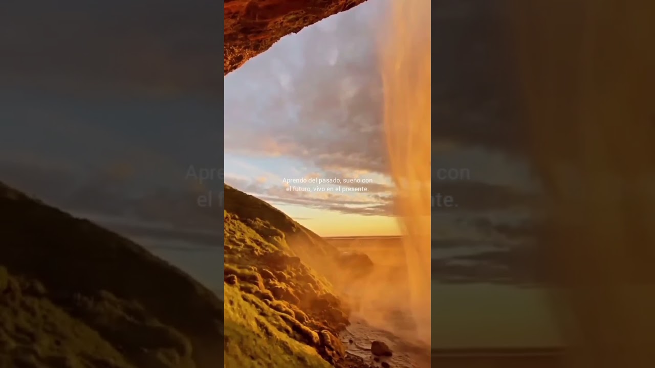 Cuida el jardín para que las mariposas vengan hacia tí🦋