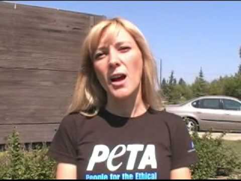 PETA Joins the Lucy Campaign