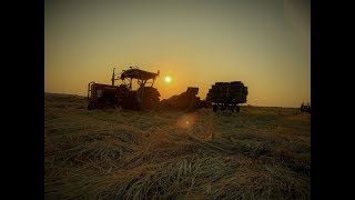 Farmvlog #67 | Schilfheu pressen