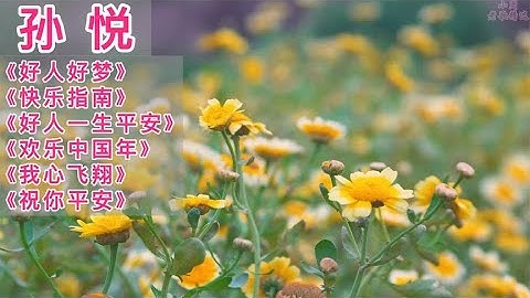 Thumbnail of 孙悦歌曲《好人好梦》《快乐指南》《我心飞翔》《欢乐中国年》