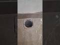 jali design 👌 #tiles #viral #viralshorts #trending #song #reels #shorts #hardwork #youtubeshorts