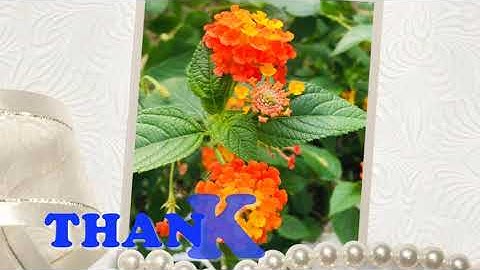 Báo cáo tổng kết năm học 2020 -  2021